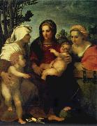 Andrea del Sarto Madonna and child with Sts Catherine and Elizabeth,and St John the Baptist France oil painting artist